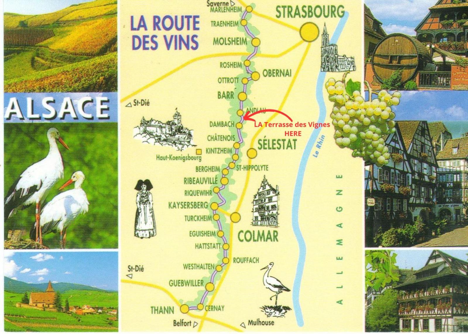La Terasse Des Vignes - Maison 2 Chambres - 4 Personnes 布利安什维莱 外观 照片